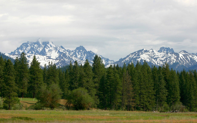 Horse grazing mountains blue sky free wallpaper - medium preview image