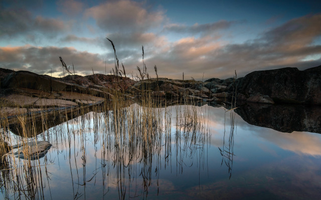 Pond reeds sky rocks cityscape free wallpaper - medium preview image