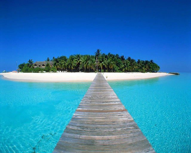 Wooden dock island beach palm free wallpaper - medium preview image