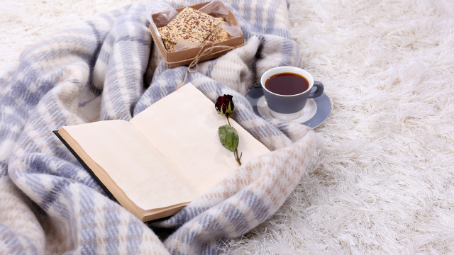 Blanket coffee book rose rug free wallpaper - medium preview image