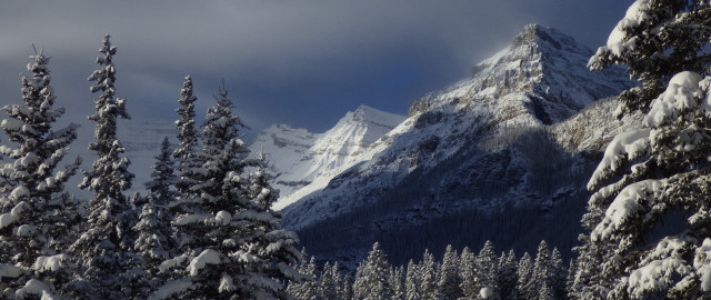 Snowy mountain forest clouds bushes free wallpaper - medium preview image