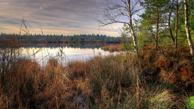 Lake trees grass clouds autumn free wallpaper - medium preview image
