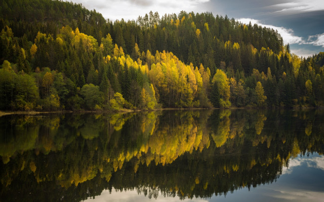 Lake trees clouds reflections autumn free wallpaper - medium preview image