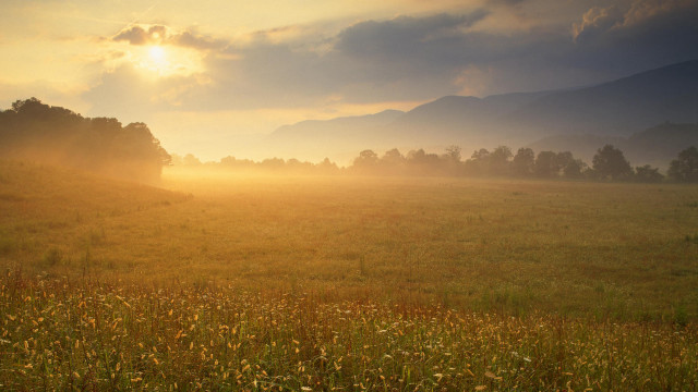 Sunset mountains horse beach city free wallpaper - medium preview image