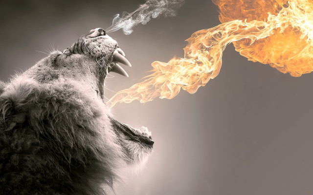 Lion roaring fire giant flame free wallpaper - medium preview image