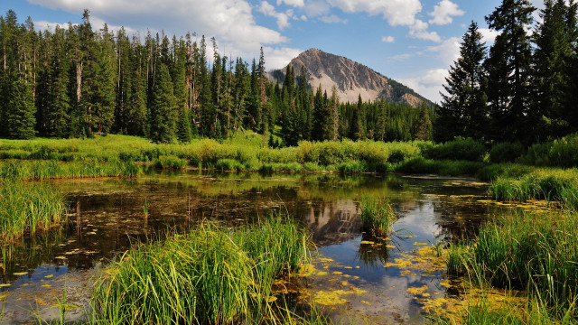 Small pond trees mountain clouds free wallpaper - medium preview image