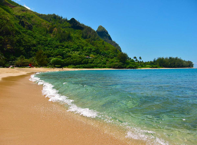 Beach wave mountain trees background free wallpaper - medium preview image