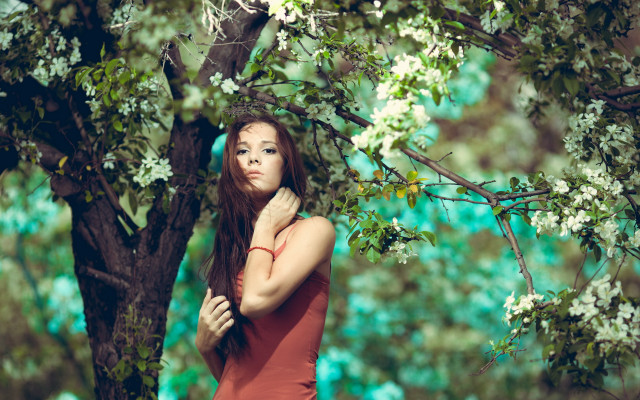 Woman red dress tree white free wallpaper - medium preview image