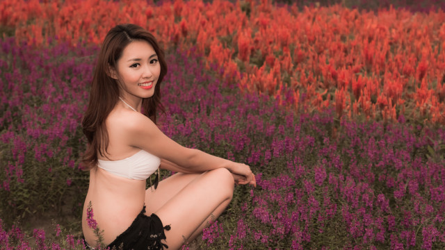 Woman bikini flower field autumn free wallpaper - medium preview image