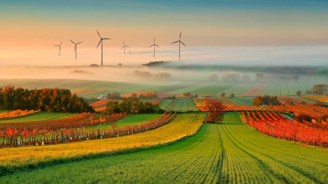 Field windmills fog background air free wallpaper - medium preview image