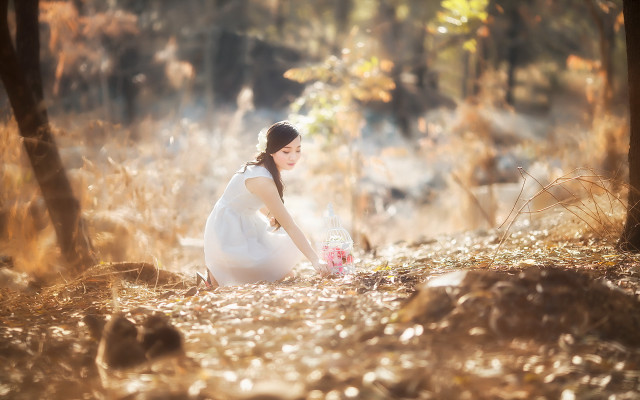 Woman white dress forest candle free wallpaper - medium preview image