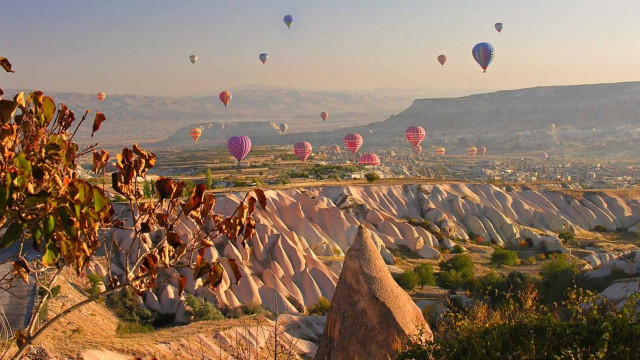 Hot air balloons valley mountains free wallpaper - medium preview image