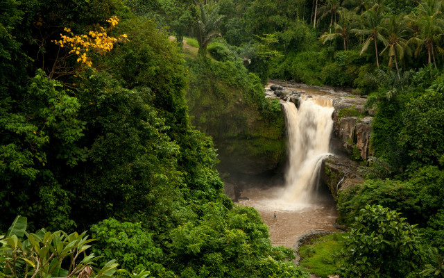 Waterfall jungle tree person nature free wallpaper - medium preview image