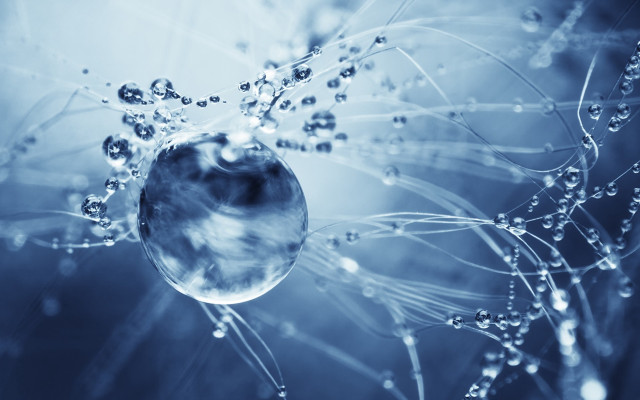 Dandelion water droplets blue background #2 free wallpaper - medium preview image