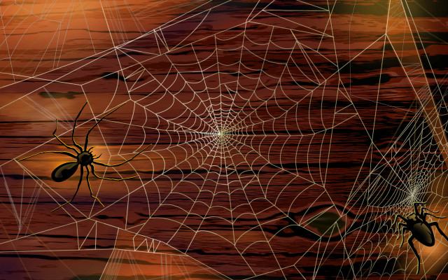 Sunset webs spider fence ferris free wallpaper - medium preview image
