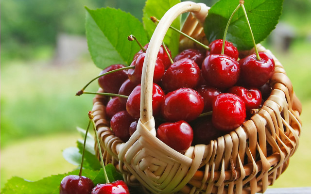 Basket cherries leafy white background free wallpaper for desktop - medium preview image