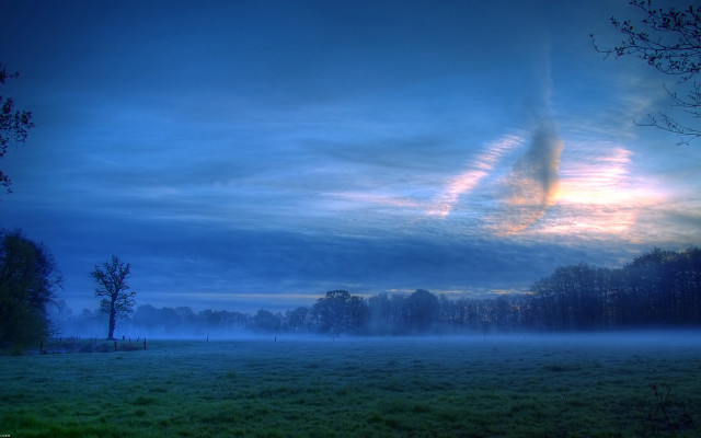 Foggy dusk landscape with trees free wallpaper - medium preview image