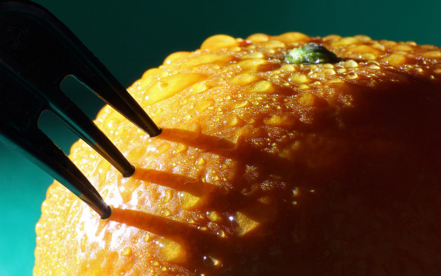 Orange fork macro photorealistic autumn free wallpaper - medium preview image