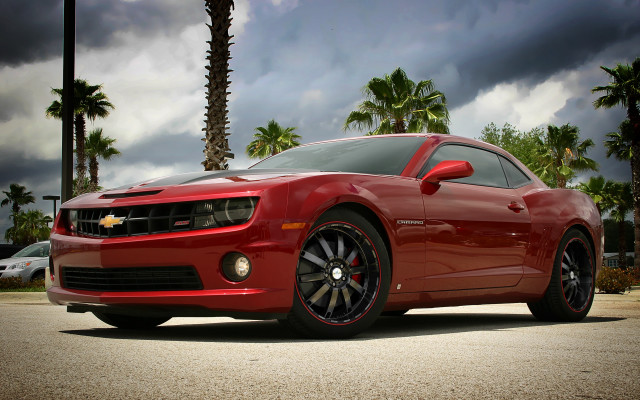 Red sports car palm trees #3 free wallpaper - medium preview image