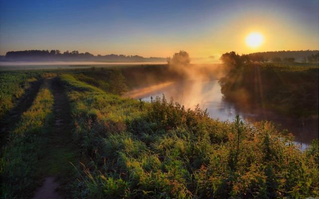 River foggy sunset trees bushes free wallpaper - medium preview image