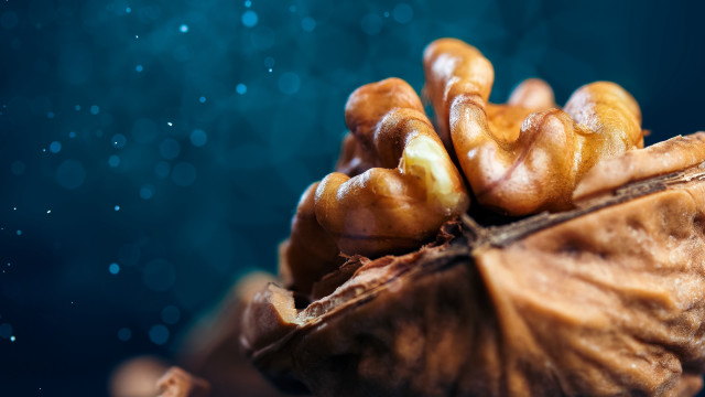 Nuts water droplets table bokeh free wallpaper - medium preview image