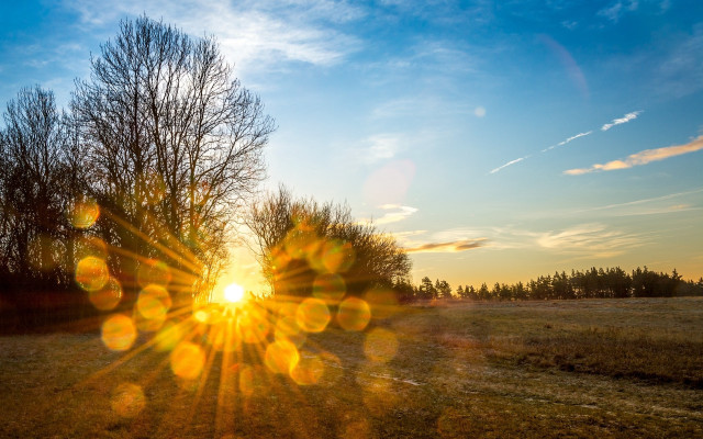 Field trees sun clouds blue free wallpaper - medium preview image