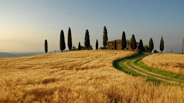 Field house trees path landscape free wallpaper - medium preview image