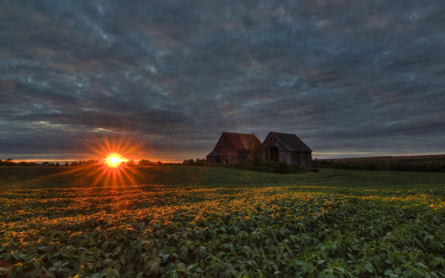 Sunset house field sunflowers clouds free wallpaper - medium preview image