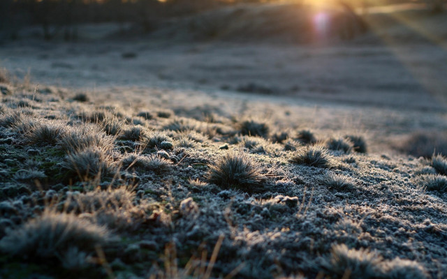 Frosty field sunset trees reflection free wallpaper - medium preview image