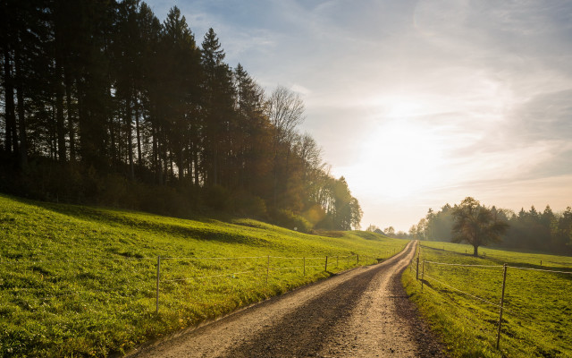 Dirtroad lushfield forest sunset city free wallpaper - medium preview image