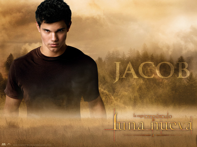 Man standing field forest background free wallpaper - medium preview image