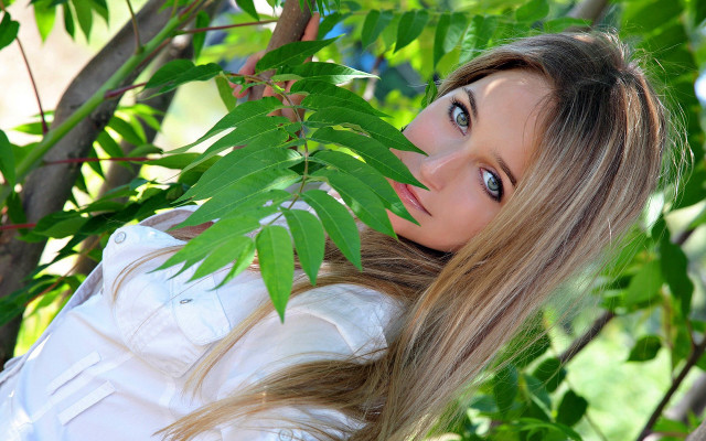 Woman blowing hair tree portrait free wallpaper - medium preview image