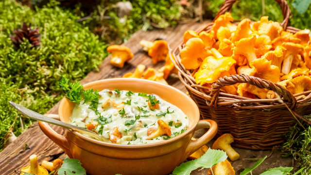 Woodland food fire dip chips free wallpaper - medium preview image
