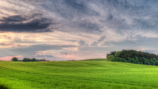 Green field trees clouds sunset free wallpaper - medium preview image