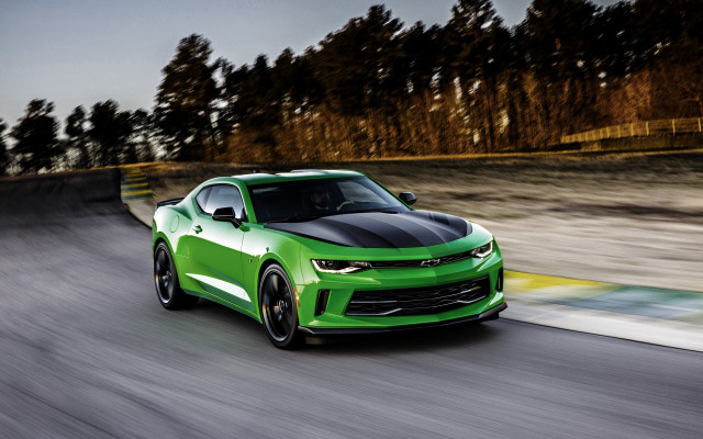 Green car forest road mountain free wallpaper - medium preview image