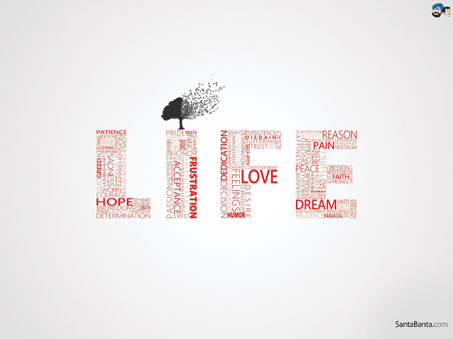 Life word cloud tree red free wallpaper - medium preview image