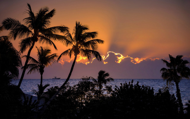 Sunset palm trees boat cloudy free wallpaper - medium preview image