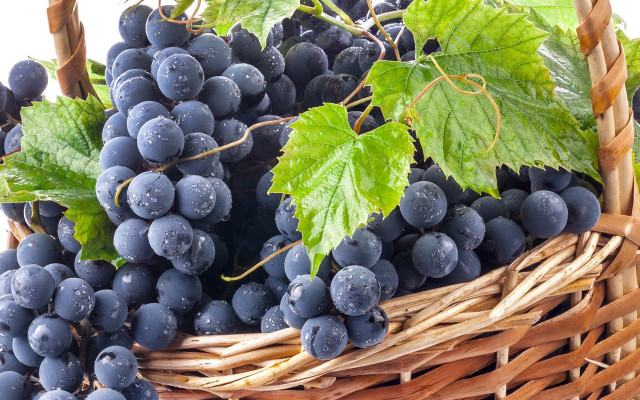 Grapes basket green leaves white #2 free wallpaper - medium preview image