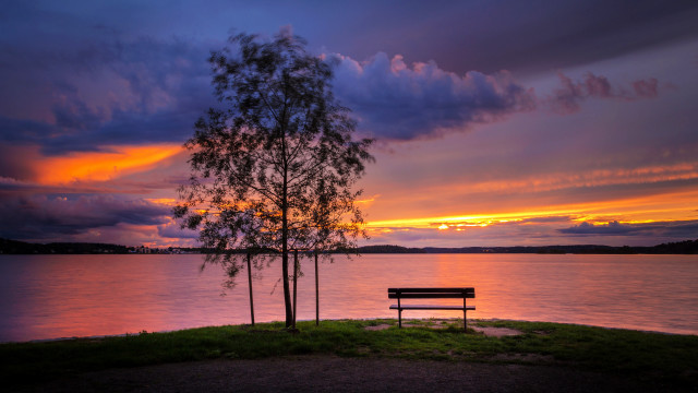Bench tree water sunset autumn free wallpaper - medium preview image