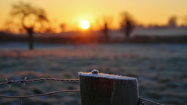 Fence sunset field trees macro free wallpaper - medium preview image