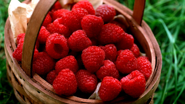 Raspberry basket grass sun wooden free wallpaper - medium preview image