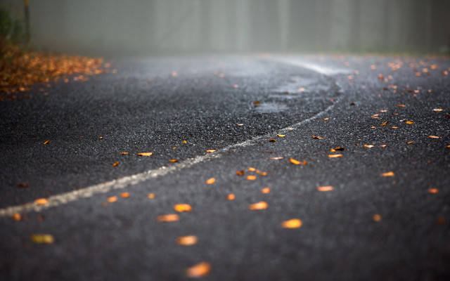 Road leaves trees autumn fire free wallpaper - medium preview image