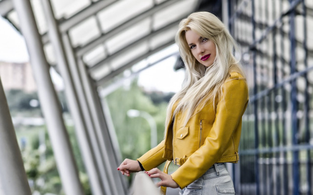 Yellow jacket fence portrait blurry free wallpaper - medium preview image