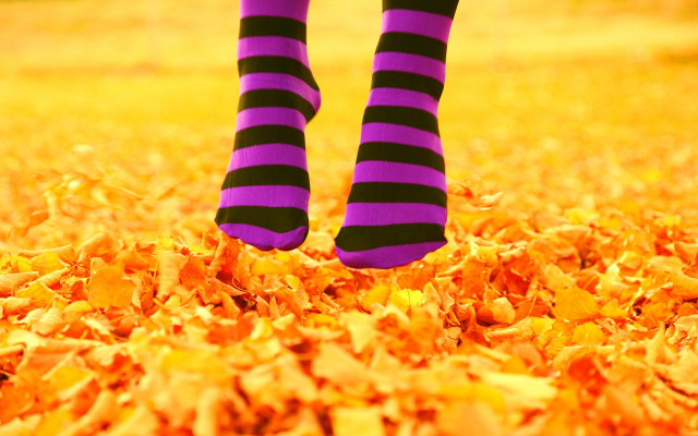 Person striped socks leaves green free wallpaper - medium preview image