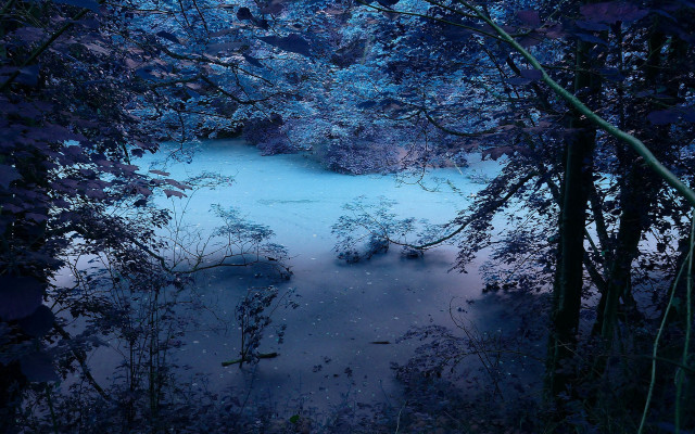 Night pond forest stars moon free wallpaper - medium preview image