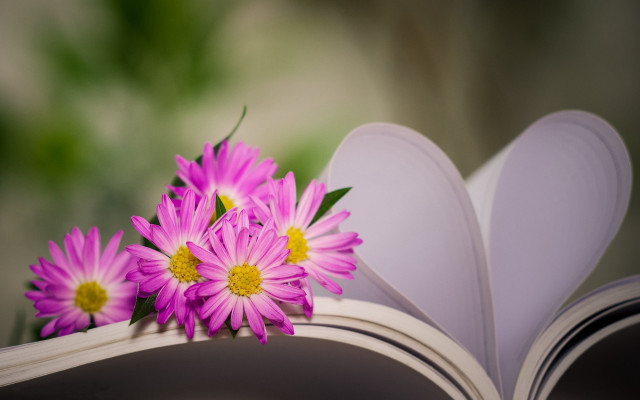 Book flower bouquet heart book free wallpaper - medium preview image