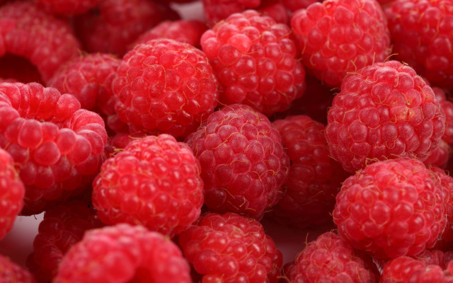 Raspberries berry closeup food flower free wallpaper - medium preview image