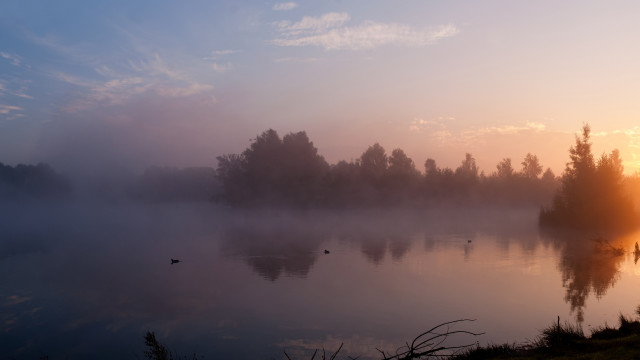 Sunset lake ducks fog mountain free wallpaper - medium preview image