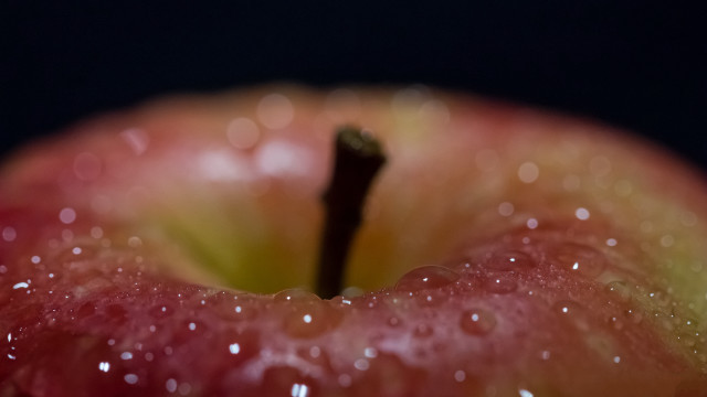 Red apple water droplets macro #2 free wallpaper - medium preview image