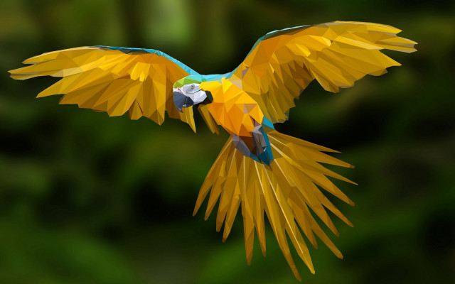 Colorful bird flying green background free wallpaper - medium preview image